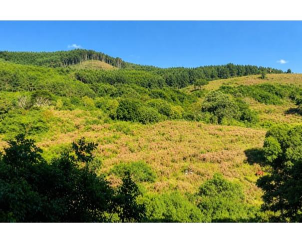 Foto de IMÓVEL RURAL | A.T. 31,64 HA, “LINHA GRAMADINHO” IBIAM EM TANGARÁ/SC.