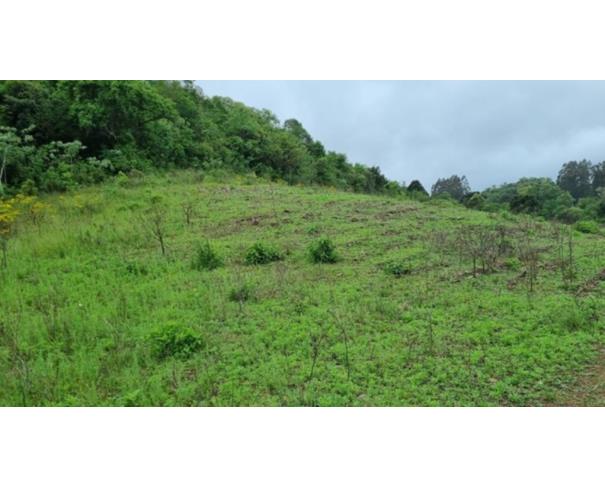Foto de IMÓVEL RURAL: | A.T. 184.643,60M²| LINHA FREI CLEMENTE, BARROS CASSAL/RS.