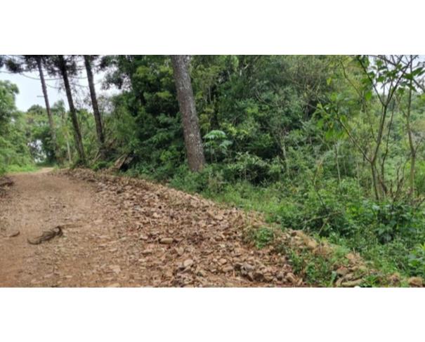Foto de IMÓVEL RURAL: A.T. 121.001,23 M² | LINHA FREI CLEMENTE, BARROS CASSAL/RS