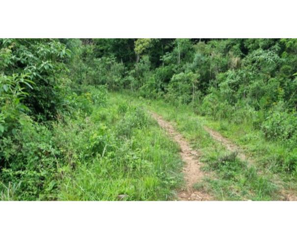 Foto de IMÓVEL RURAL: A.T. 121.001,23 M² | LINHA FREI CLEMENTE, BARROS CASSAL/RS