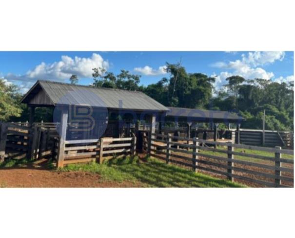 Foto de IMÓVEL RURAL | A.T. 797,7029HA FAZ. ÁGUA DA PRATA (DUPLA APTIDÃO) | ARIPUANÃ/MT