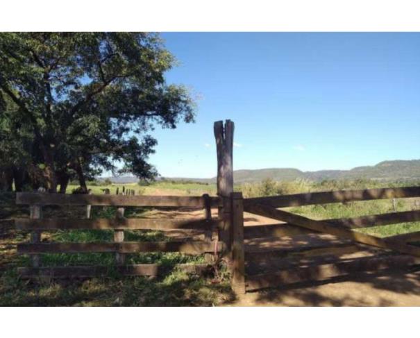 Foto de IMÓVEL RURAL | A.T. 674 HA | FAZENDA SERTÃOZINHO "I" | REGIÃO DE PECUÁRIA E PLANTIO DE SOJA / MILHO I CAMPO GRANDE/MS