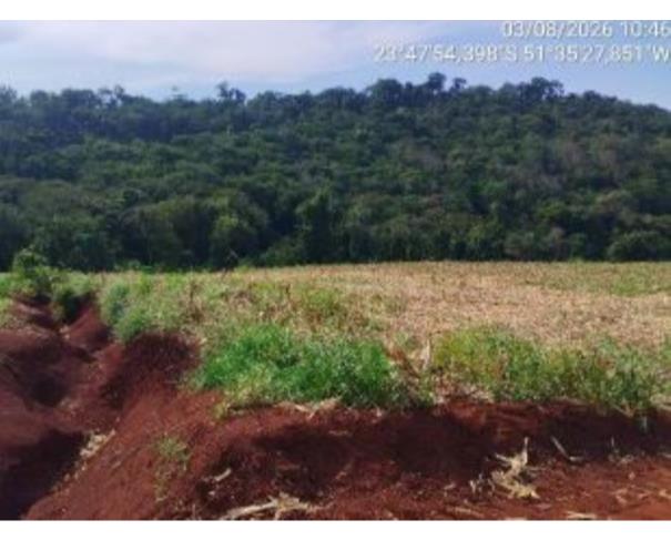 Foto de IMÓVEL RURAL | A.T. 4,00 ALQUEIRES PAULISTAS (96.800,00M²) “LOTE DE TERRAS 134 E 134-B” | MARUMBI/PR