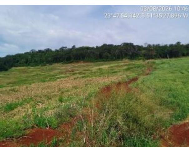Foto de IMÓVEL RURAL | A.T. 4,00 ALQUEIRES PAULISTAS (96.800,00M²) “LOTE DE TERRAS 134 E 134-B” | MARUMBI/PR