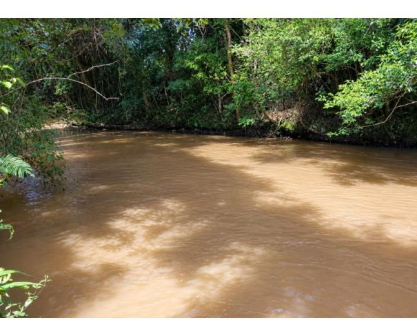 Foto de IMÓVEL RURAL: A.T. 86.000,00 M² –DISTRITO DE MARARI, TANGARÁ/SC.