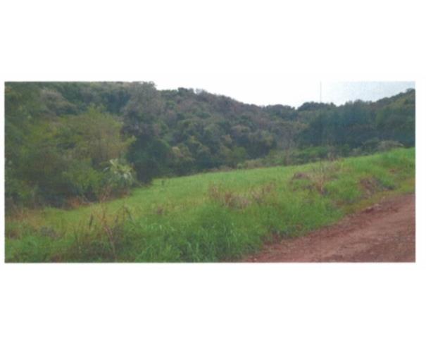Foto de IMÓVEL RURAL: A.T.  – 65.455,00 M² | FRAÇÃO DE TERRAS DE CULTURA, “LINHA FANTONI”, TUNAS/RS