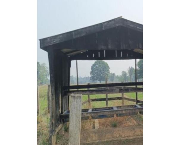 Foto de IMÓVEL RURAL | A.T. 10,1640 – “LOTE Nº 07-C1 DA GLEBA 08-C” | TEIXEIRÓPOLIS/RO