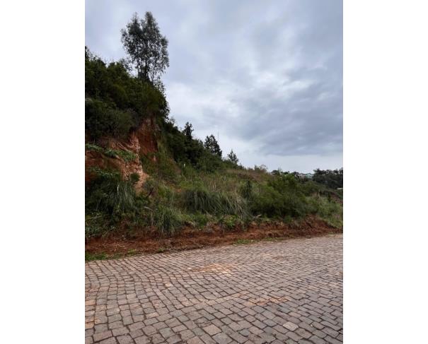 Foto de TERRENO URBANO | A.T. 600,00 M² | ARVOREZINHA/RS.