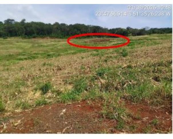 Foto de IMÓVEL RURAL | A.T. 4,00 ALQUEIRES PAULISTAS (96.800,00M²) “LOTE DE TERRAS 134 E 134-B” | MARUMBI/PR