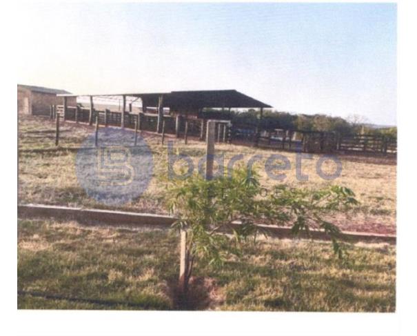 Foto de IMÓVEL RURAL | A.T. 187,0323HA FAZ. VÓ BINA E ALIANÇA | BANDEIRANTES/MS