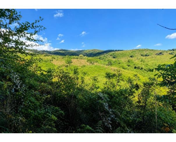 Foto de IMÓVEL RURAL | A.T. 31,64 HA, “LINHA GRAMADINHO” IBIAM EM TANGARÁ/SC.