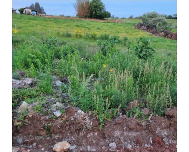 Foto de TERRENO URBANO| A.T. 381,78 M²– LOT. BELA VISTA, BAIRRO MISSÕES, SOLEDADE/RS.