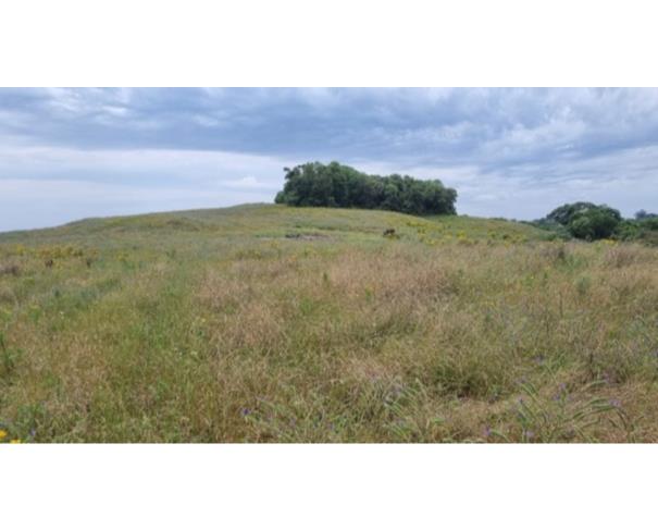 Foto de IMÓVEL RURAL: A.T. 13,60 HA – BOM SOSSEGO, IBIRAPUITÃ/RS