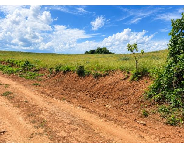 Foto de IMÓVEL RURAL: A.T. 69.925,00 M², LOCALIZADA EM BOM SOSSEGO, IBIRAPUITÃ/RS