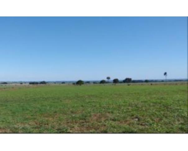 Foto de IMÓVEL RURAL | A.T. 4,7HA - PARTE DO LOTE RURAL N° 35 DA QUADRA N° 90 | DEODÁPOLIS/MS