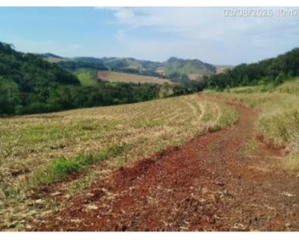 Foto de IMÓVEL RURAL | A.T. 4,00 ALQUEIRES PAULISTAS (96.800,00M²) “LOTE DE TERRAS 134 E 134-B” | MARUMBI/PR