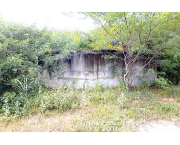 Foto de IMÓVEL RURAL | A.T. 634,5690HA FAZENDA FABILINE/PARTE 1 | MANSIDÃO/BA