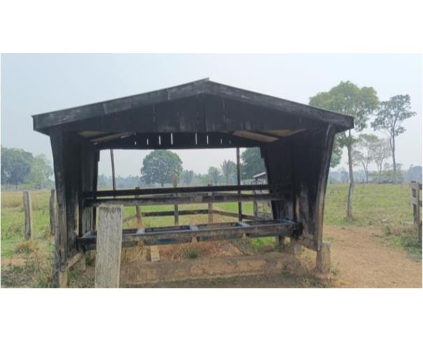 Foto de IMÓVEL RURAL | A.T. 10,1640 – “LOTE Nº 07-C1 DA GLEBA 08-C” | TEIXEIRÓPOLIS/RO