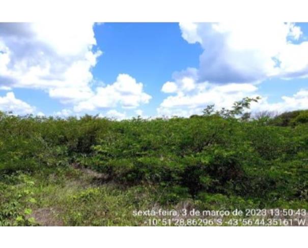 Foto de IMÓVEL RURAL | A.T. 634,5690HA FAZENDA FABILINE/PARTE 1 | MANSIDÃO/BA