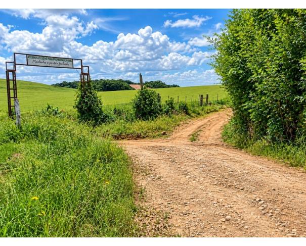 Foto de IMÓVEL RURAL: A.T. 69.925,00 M², LOCALIZADA EM BOM SOSSEGO, IBIRAPUITÃ/RS