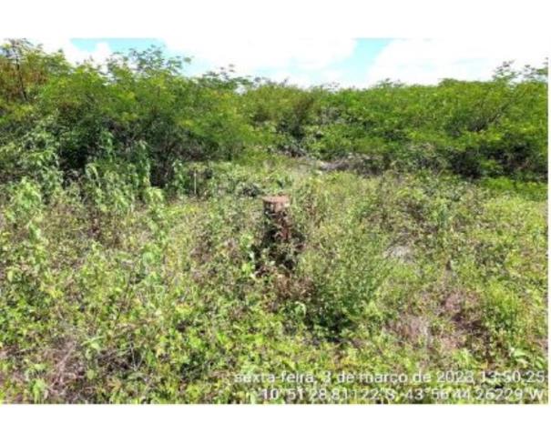 Foto de IMÓVEL RURAL | A.T. 634,5690HA FAZENDA FABILINE/PARTE 1 | MANSIDÃO/BA