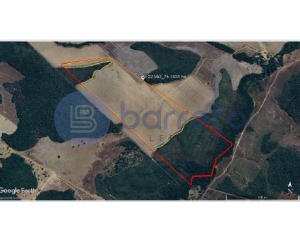 Foto de IMÓVEL RURAL | A.T. 75,18 HA CULTIVO DE GRÃOS PARTE LOTE 10 LOT. MANGUES 3ª ETAPA | PORTO NACIONAL/TO