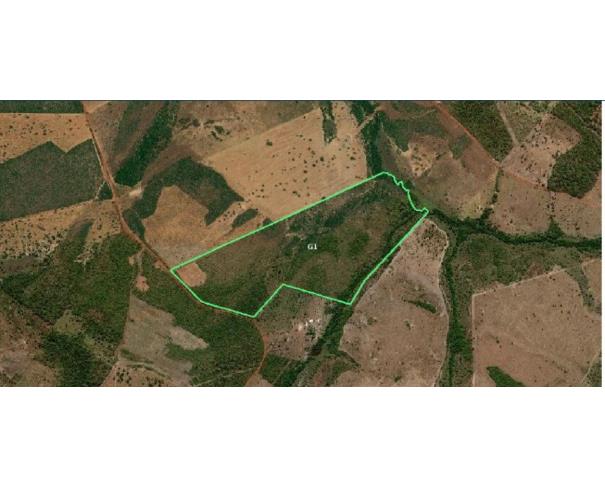 Foto de IMÓVEL RURAL | A.T. 76,4510HA, FAZENDA GIRASSOL | RIBEIRÃO CASCALHEIRA/MT