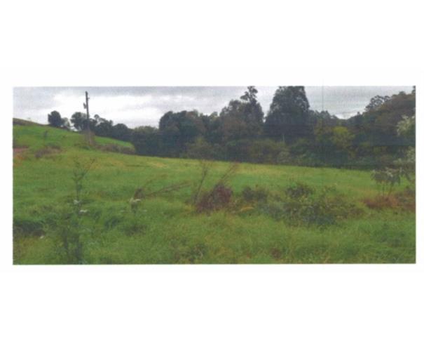 Foto de IMÓVEL RURAL: A.T.  – 65.455,00 M² | FRAÇÃO DE TERRAS DE CULTURA, “LINHA FANTONI”, TUNAS/RS