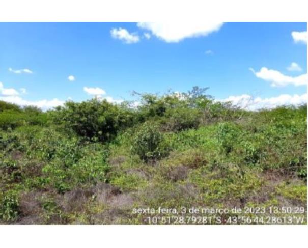 Foto de IMÓVEL RURAL | A.T. 634,5690HA FAZENDA FABILINE/PARTE 1 | MANSIDÃO/BA