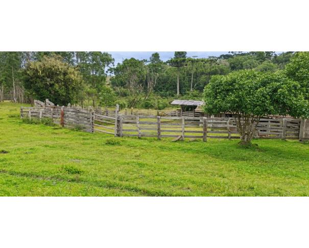 Foto de IMÓVEL RURAL | A.T.145.289,00 M² FAZ. PERDIZES GRANDE – DIS. SÃO SEBASTIÃO DO SUL EM LEBON RÉGIS/SC.
