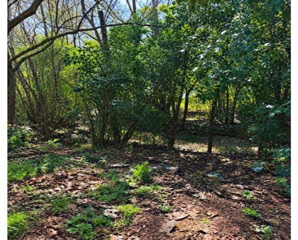 Foto de TERRENO URBANO: A.T. 1.304,25 M² | BAIRRO EXPEDICIONÁRIO EM SOLEDADE/RS
