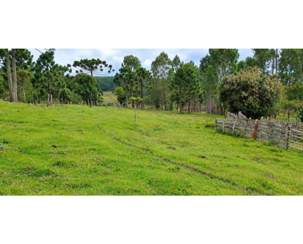 Foto de IMÓVEL RURAL | A.T.145.289,00 M² FAZ. PERDIZES GRANDE – DIS. SÃO SEBASTIÃO DO SUL EM LEBON RÉGIS/SC.
