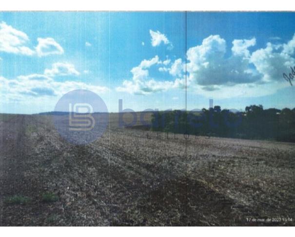 Foto de IMÓVEIS RURAL | GLEBA UBÁ, 1ª SECÇÃO | LUNARDELLI/PR