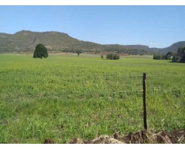 Foto de IMÓVEL RURAL | A.T. 674 HA | FAZENDA SERTÃOZINHO "I" | REGIÃO DE PECUÁRIA E PLANTIO DE SOJA / MILHO I CAMPO GRANDE/MS