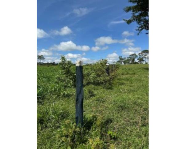 Foto de IMÓVEL RURAL | A.T. 10,1640 – “LOTE Nº 07-C1 DA GLEBA 08-C” | TEIXEIRÓPOLIS/RO