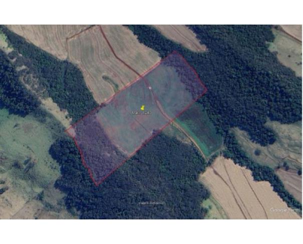 Foto de IMÓVEL RURAL | A.T. 4,00 ALQUEIRES PAULISTAS (96.800,00M²) “LOTE DE TERRAS 134 E 134-B” | MARUMBI/PR