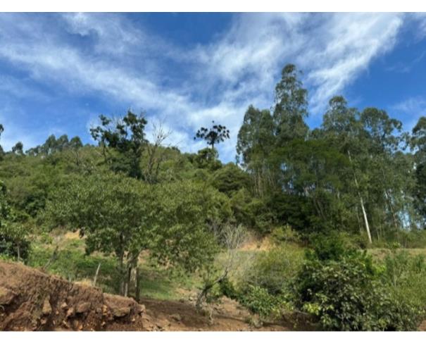 Foto de IMÓVEL RURAL: A.T. 58.200,0 M² | LT 119-C, LINHA ARAPONGA, ITAPUCA/RS.