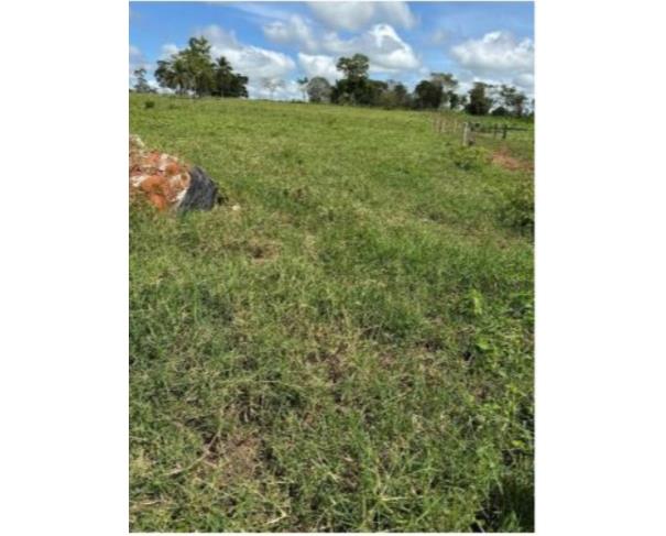 Foto de IMÓVEL RURAL | A.T. 10,1640 – “LOTE Nº 07-C1 DA GLEBA 08-C” | TEIXEIRÓPOLIS/RO