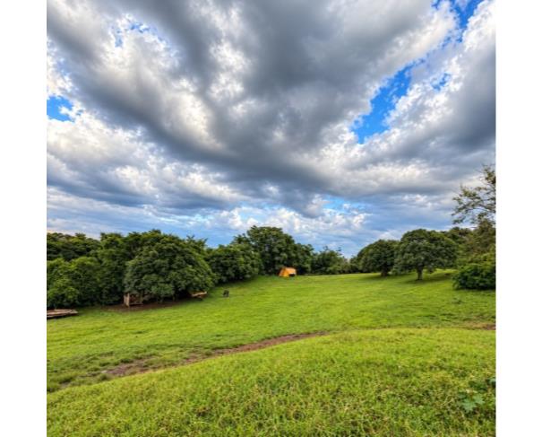 Foto de TERRENO URBANO | A.T. 6.251,68 M² |IBIRAPUITÃ/RS.