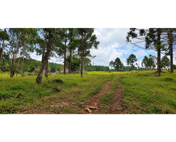 Foto de IMÓVEL RURAL | A.T.145.289,00 M² FAZ. PERDIZES GRANDE – DIS. SÃO SEBASTIÃO DO SUL EM LEBON RÉGIS/SC.