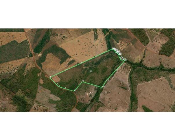 Foto de IMÓVEL RURAL | A.T. 76,4510HA, FAZENDA GIRASSOL | RIBEIRÃO CASCALHEIRA/MT