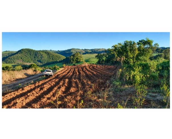 Foto de IMÓVEL RURAL: A.T.  – 65.455,00 M² | FRAÇÃO DE TERRAS DE CULTURA, “LINHA FANTONI”, TUNAS/RS