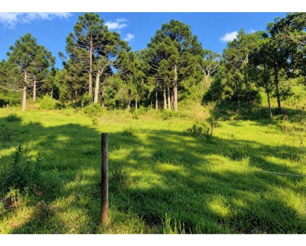 Foto de IMÓVEL RURAL | A.T. 31,64 HA, “LINHA GRAMADINHO” IBIAM EM TANGARÁ/SC.