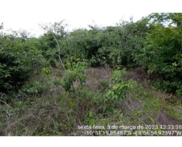 Foto de IMÓVEL RURAL | A.T. 634,5690HA FAZENDA FABILINE/PARTE 1 | MANSIDÃO/BA