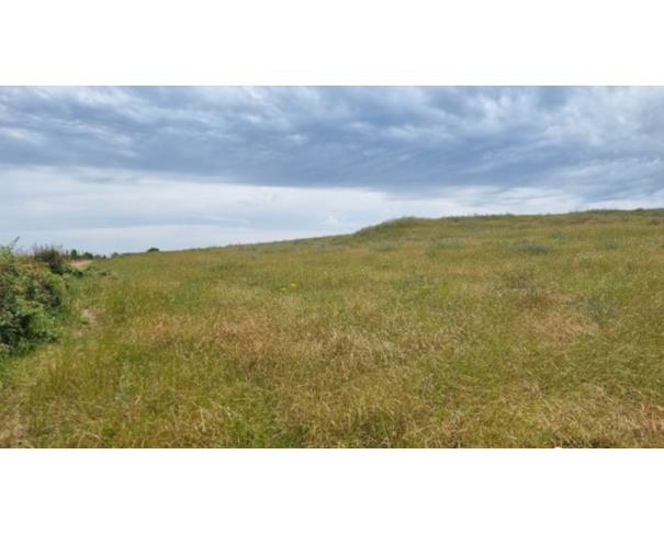 Foto de IMÓVEL RURAL: A.T. 13,60 HA – BOM SOSSEGO, IBIRAPUITÃ/RS