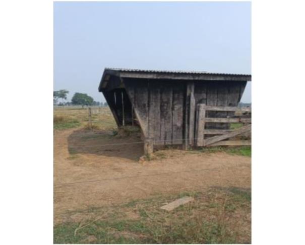 Foto de IMÓVEL RURAL | A.T. 10,1640 – “LOTE Nº 07-C1 DA GLEBA 08-C” | TEIXEIRÓPOLIS/RO