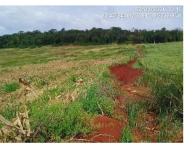 Foto de IMÓVEL RURAL | A.T. 4,00 ALQUEIRES PAULISTAS (96.800,00M²) “LOTE DE TERRAS 134 E 134-B” | MARUMBI/PR