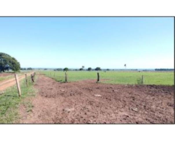 Foto de IMÓVEL RURAL | A.T. 4,7HA - PARTE DO LOTE RURAL N° 35 DA QUADRA N° 90 | DEODÁPOLIS/MS