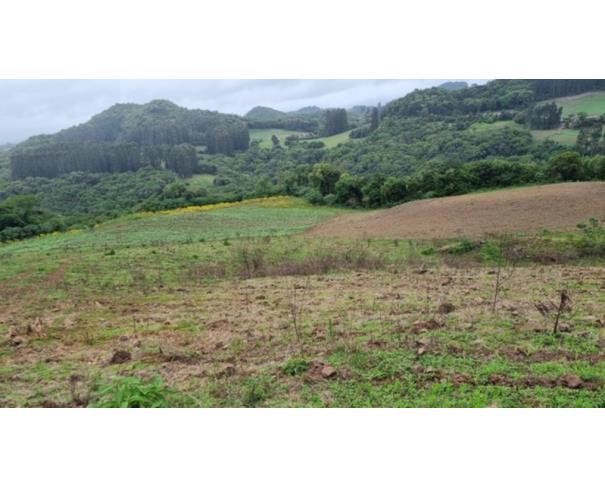 Foto de IMÓVEL RURAL: | A.T. 184.643,60M²| LINHA FREI CLEMENTE, BARROS CASSAL/RS.