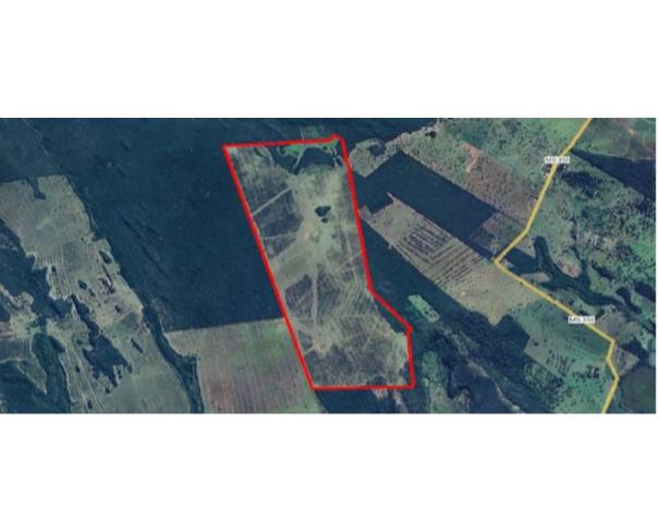 Foto de IMÓVEL RURAL | A.T. 402,8592HA E A.C 575,00M² – “SÍTIO ALVORADA” | AQUIDAUANA/MS